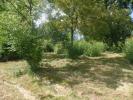 .81 ACRES LOT IN JASONVILLE.